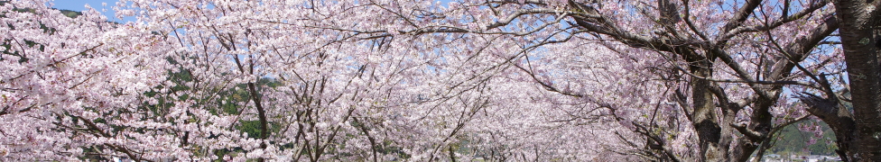 life.の見出し
